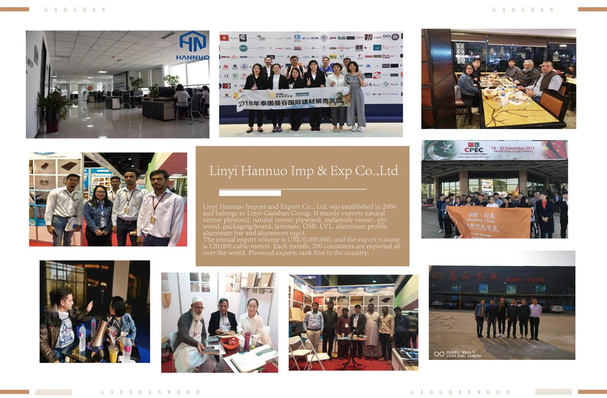 product-1200-787 image017